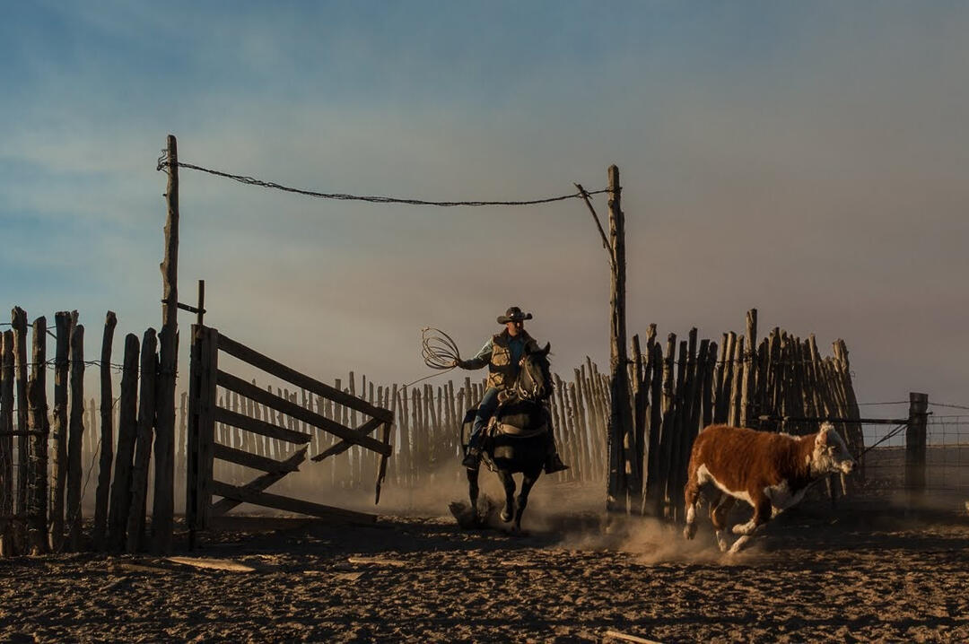 Scene from Cowboys. Scene from Cowboys. The documentary opened the 2021 season of Frame of Mind on KERA TV.